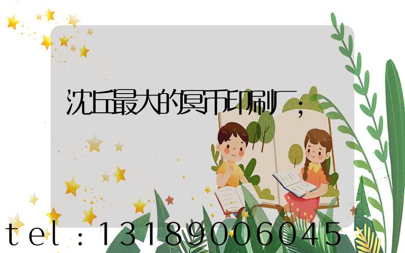 沈丘最大的冥币印刷厂